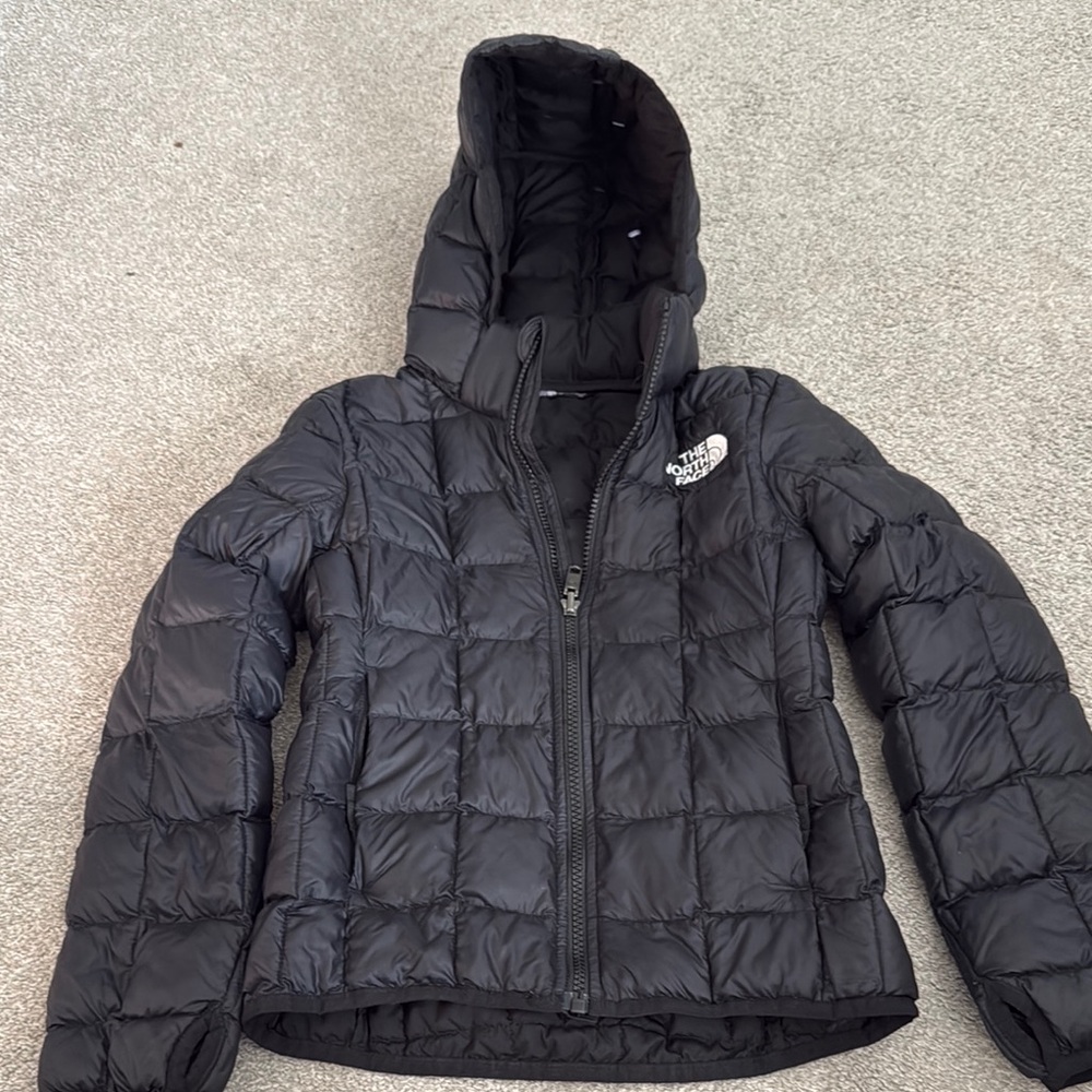 The North Face Black Puffer Jacket with Hood